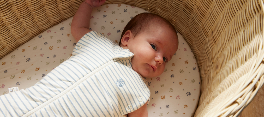 Supporting Your Baby's Self-Soothing Journey